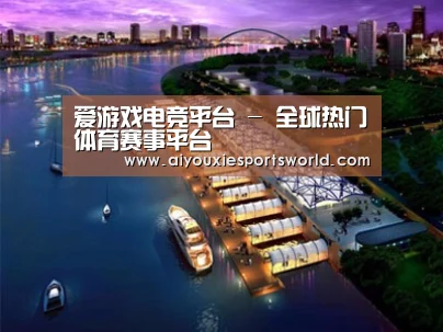案例展示八