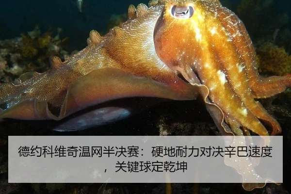 de-yue-ke-wei-qi-wen-wang-ban-jue-sai-ying-di-nai-li-dui-jue-xin-ba-su-du-guan-jian-qiu-ding-qian-kun-2-270.jpg